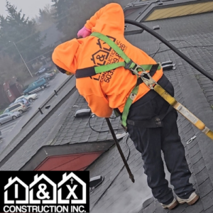Roof Moss Removal Vancouver Washington